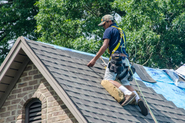 Roof Gutter Cleaning in Pistakee Highlands, IL